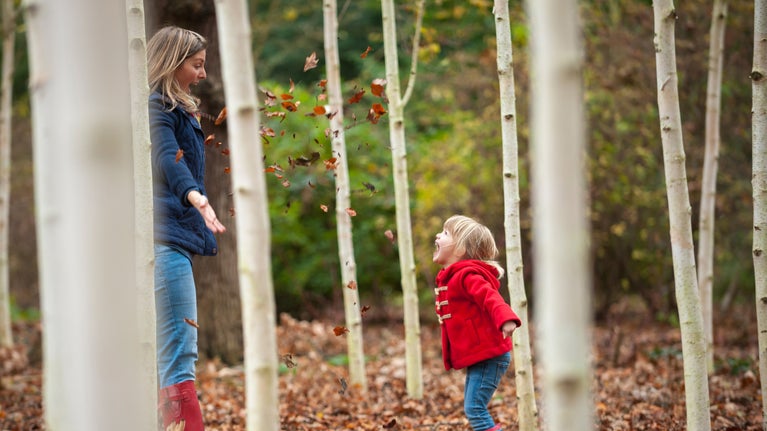 Autumn fun in the Winter Garden at Dunham Massey, Cheshire